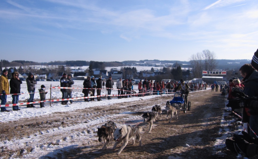 Schlittenhunderennen Schlittenhunderennen